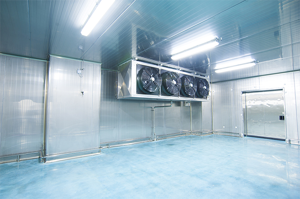 建設(shè)3000㎡中央廚房冷藏庫費用價格需要多少？