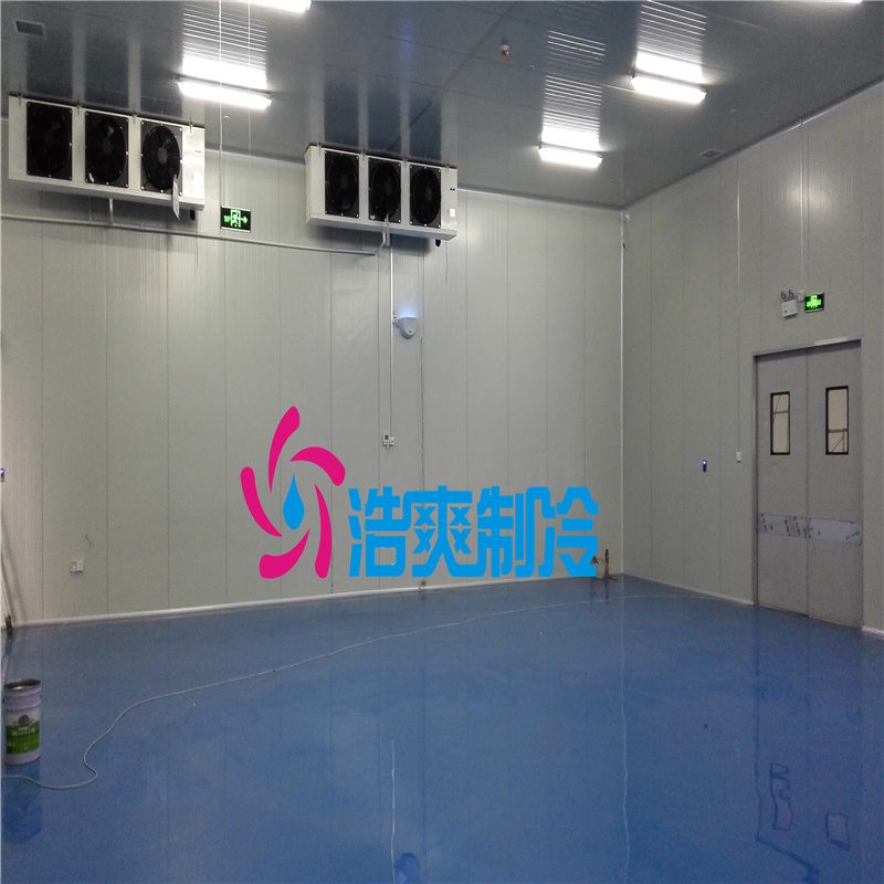 建設(shè)大型醫(yī)用冷藏庫需要的費(fèi)用價(jià)格是多少？