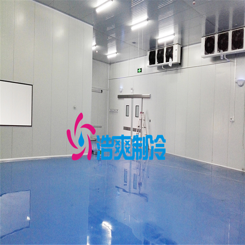 安裝醫(yī)藥專用存儲(chǔ)藥劑冷庫(kù)建設(shè)規(guī)范有哪些？