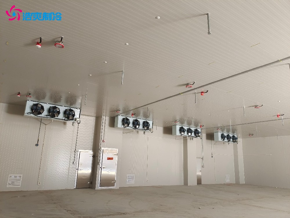 6000噸生鮮農(nóng)產(chǎn)品冷鏈物流冷庫造價費用 水果蔬菜保鮮后補(bǔ)式冷庫設(shè)計 6000噸生鮮農(nóng)產(chǎn)品冷鏈物流冷庫造價費用 水果蔬菜保鮮后補(bǔ)式冷庫設(shè)計