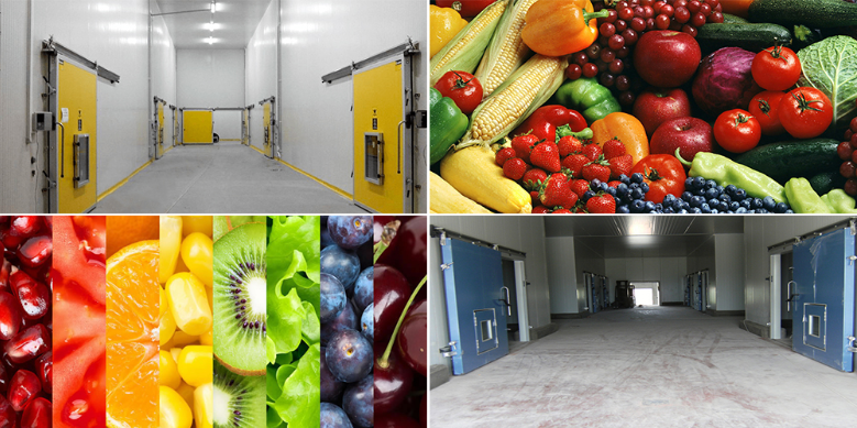 保鮮冷庫和氣調冷庫哪個儲存水果效果較好？