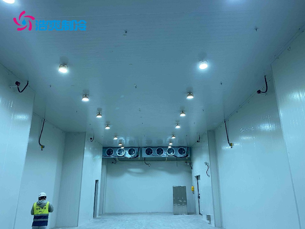 醫(yī)藥冷庫建設(shè)標準及建造方案是什么 醫(yī)藥冷庫建設(shè)標準及建造方案是什么