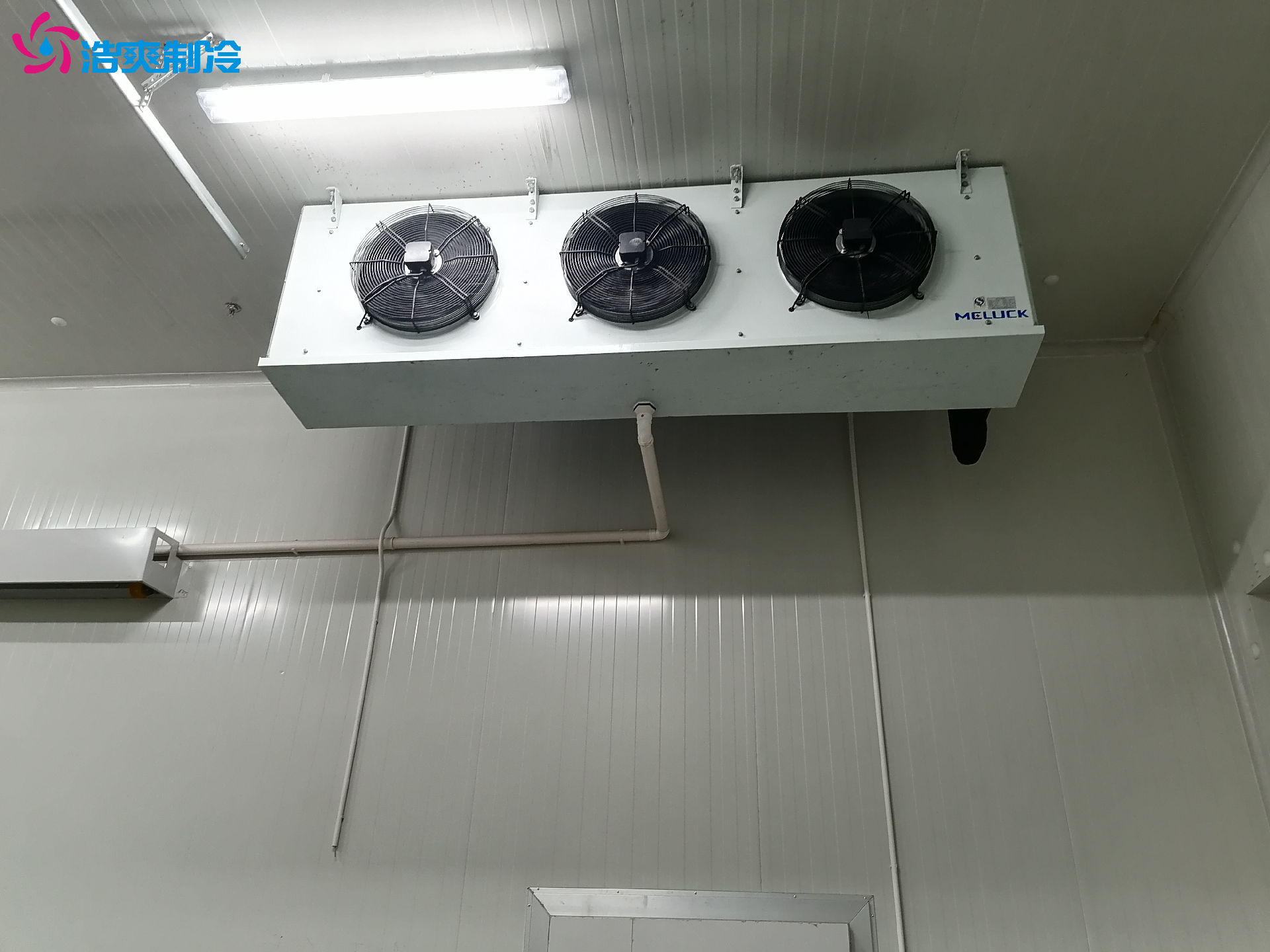 1684402873397045.png 1684402873397045.png