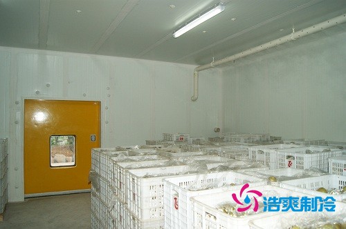 圖示:浩爽制冷為蜜之源果業(yè)建造的柑橘氣調(diào)冷庫(kù)