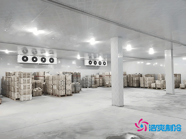 5000噸大型冷庫(kù)造價(jià)