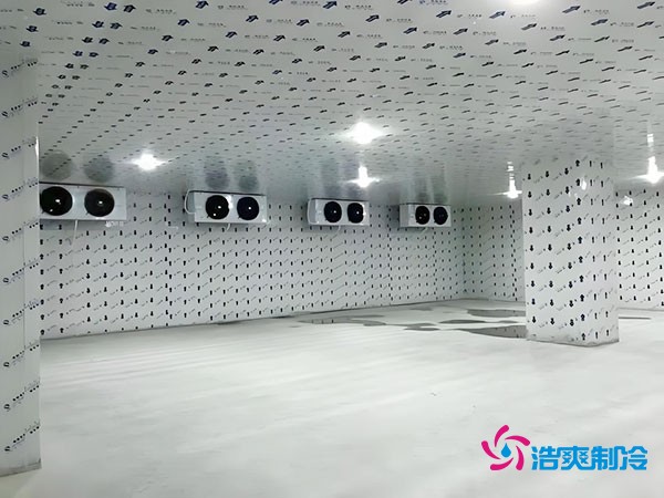 在市區(qū)建設(shè)一個100平方米的冷庫需要多少費用？