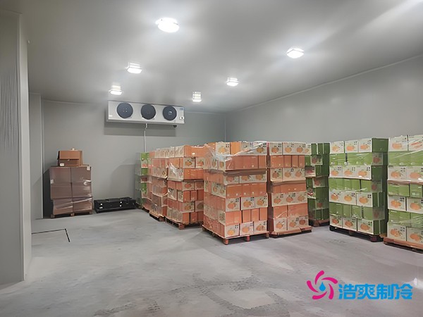 1000噸果蔬保鮮庫(kù)造價(jià)揭秘，節(jié)省成本就靠這幾點(diǎn)！