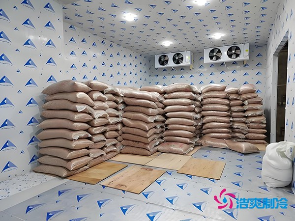 2萬起建種子冷庫？這些因素讓造價(jià)翻倍！