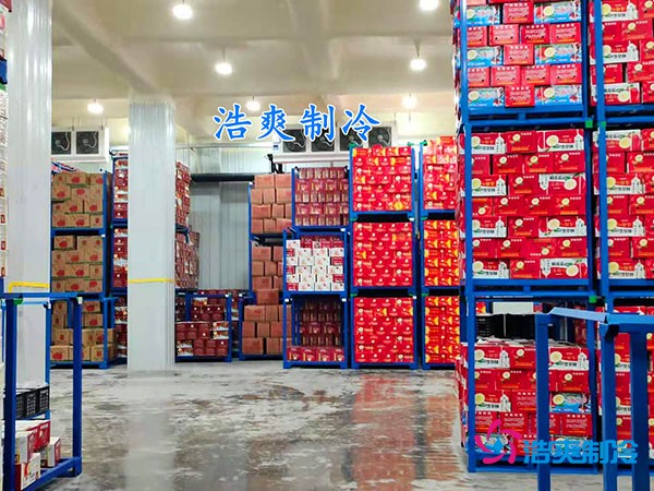 500平果蔬冷庫(kù)造價(jià)曝光！35萬(wàn)起建，省錢秘訣在這里！