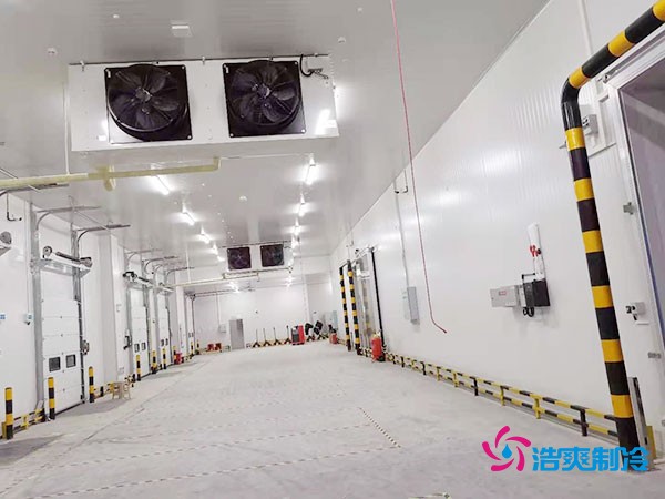 冷庫造價懸殊？揭秘每平米價格背后的秘密！