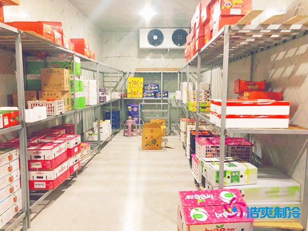 5噸水果需要多大冷庫？答案出乎意料！