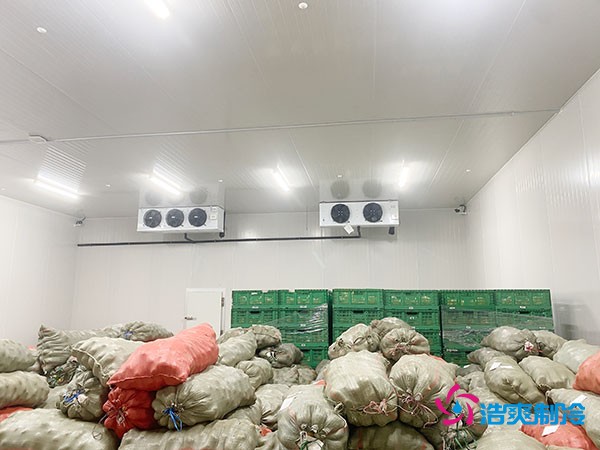 5噸水果需要多大冷庫？答案出乎意料！