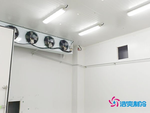 上海小型冷庫造價揭秘！2萬起真的靠譜嗎？