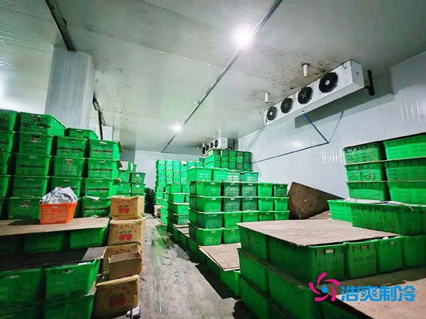 水果保鮮冷庫建造價格每平米多少錢？