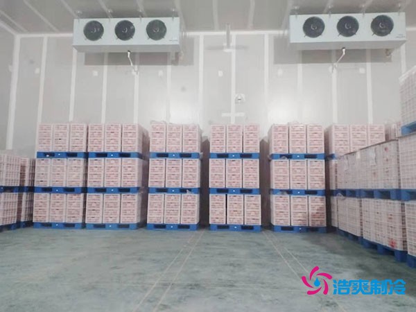 家庭農(nóng)場氣調(diào)冷庫造價(jià)