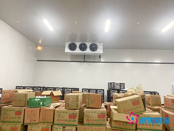 果蔬保鮮冷庫的建造費(fèi)用