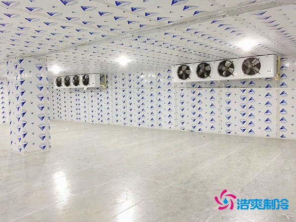 100噸橙子保鮮冷庫(kù)造價(jià)