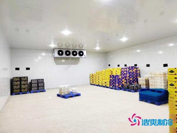 肉類冷庫(kù)造價(jià)