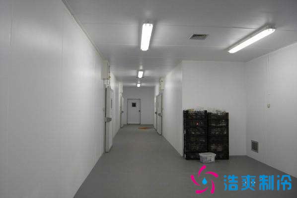 預(yù)建1000噸果蔬冷庫設(shè)計規(guī)劃，冷庫價格多少錢