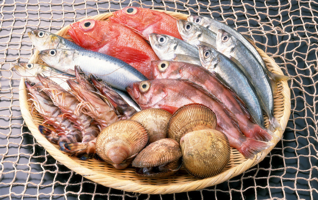 冰鮮海鮮冷庫造價，5000平方米冷凍庫總投資多少