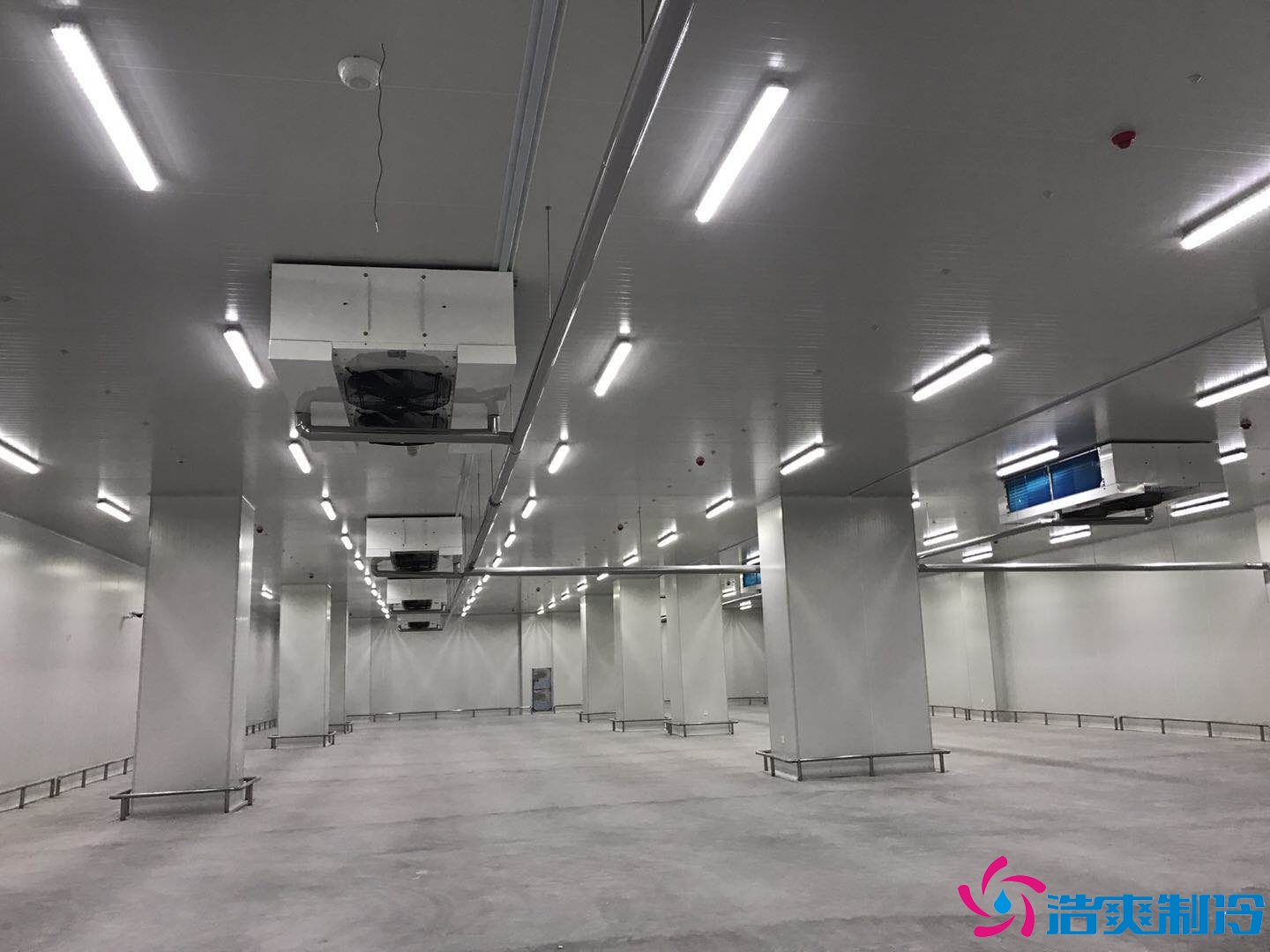 20000平米進(jìn)出口冷鏈物流冷庫(海鮮低溫倉庫)冷庫造價(jià)預(yù)算