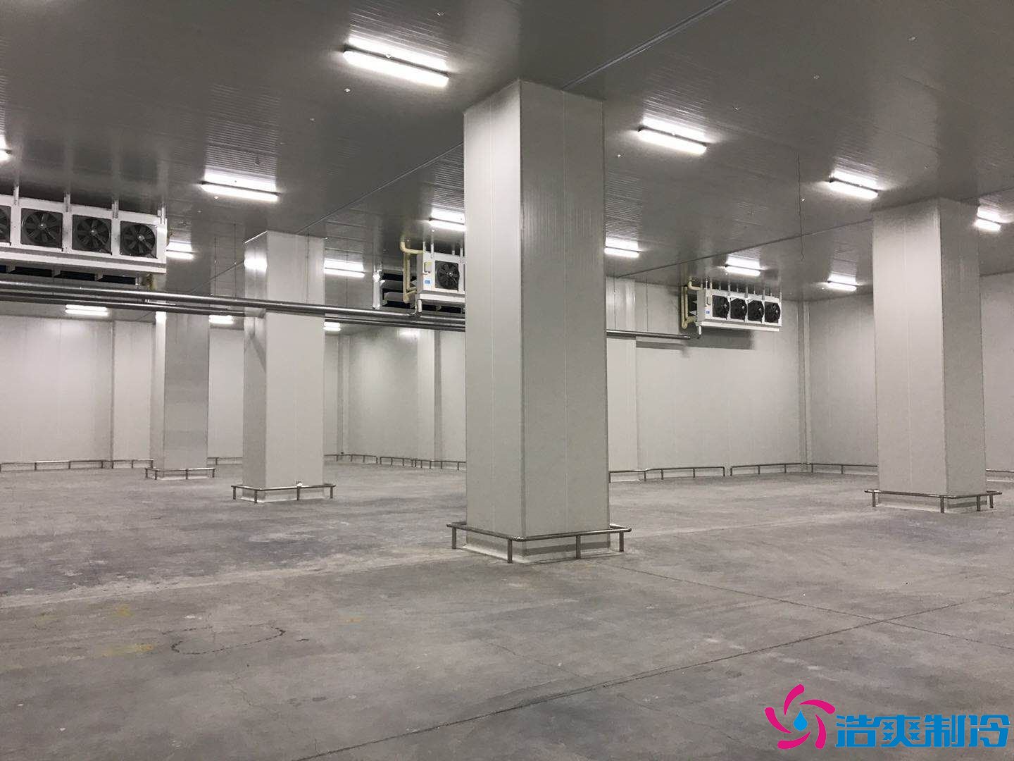 10000平米大型海鮮冷庫(kù)(水產(chǎn)冷凍庫(kù))冷庫(kù)建造方案