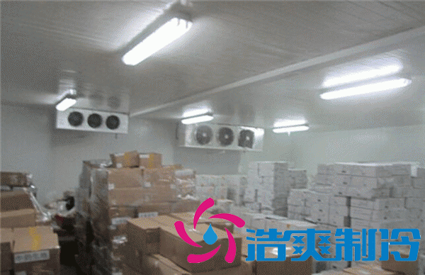 18℃~-25℃冷凍飲品冷凍庫(低溫倉庫)