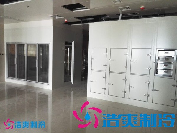 建造2-8℃社區(qū)衛(wèi)生中心冷庫(kù)(藥品冷藏庫(kù))設(shè)備安裝造價(jià)多少