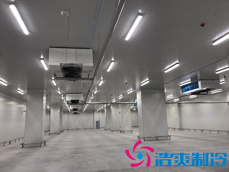 港口冷鏈冷庫市場趨勢和現(xiàn)狀，萬噸港口冷鏈低溫倉儲造價預(yù)算