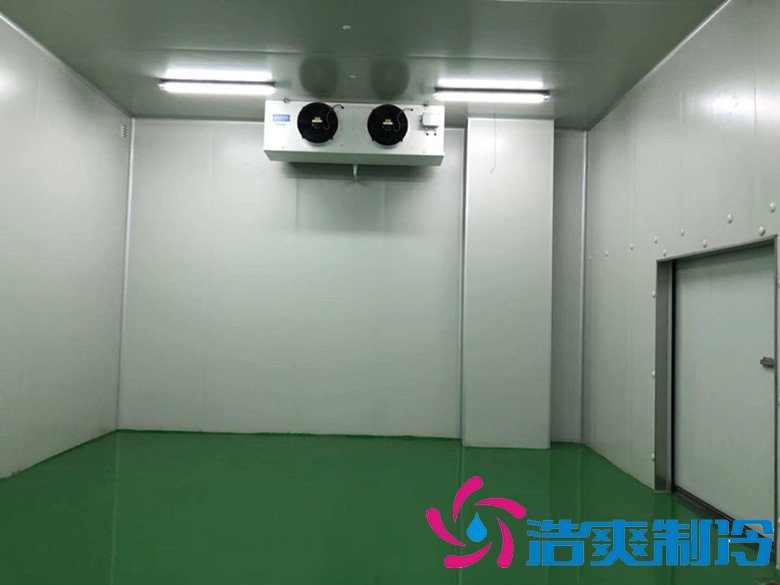 醫(yī)療冷庫的安裝標準，2-8℃生物制品冷庫安裝制冷設(shè)備造價 冷庫內(nèi)景圖片