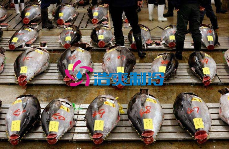 浩爽制冷，金槍魚冷庫(kù)，超低溫冷凍庫(kù)