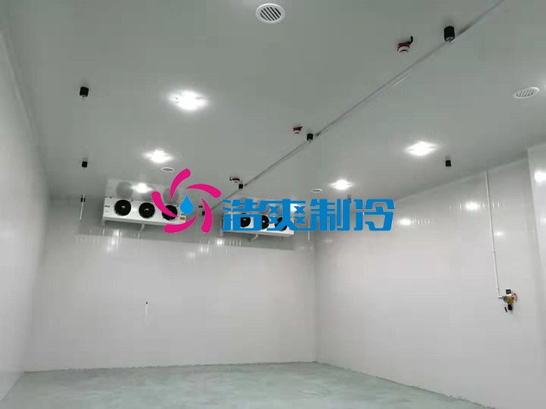 浩爽制冷，巧克力冷藏庫(kù)