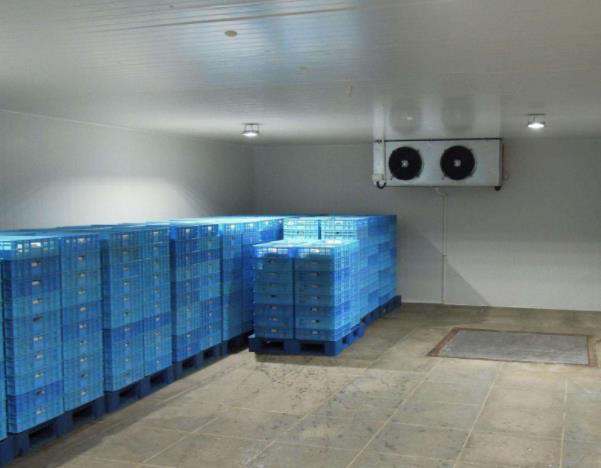 浩爽制冷、食品速凍庫
