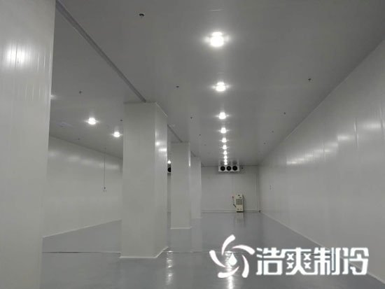 大型物流倉(cāng)儲(chǔ)冷庫(kù)